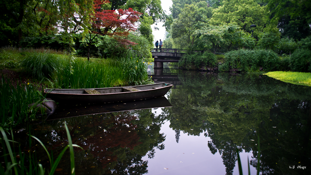 春色  a99+24/2.8 old