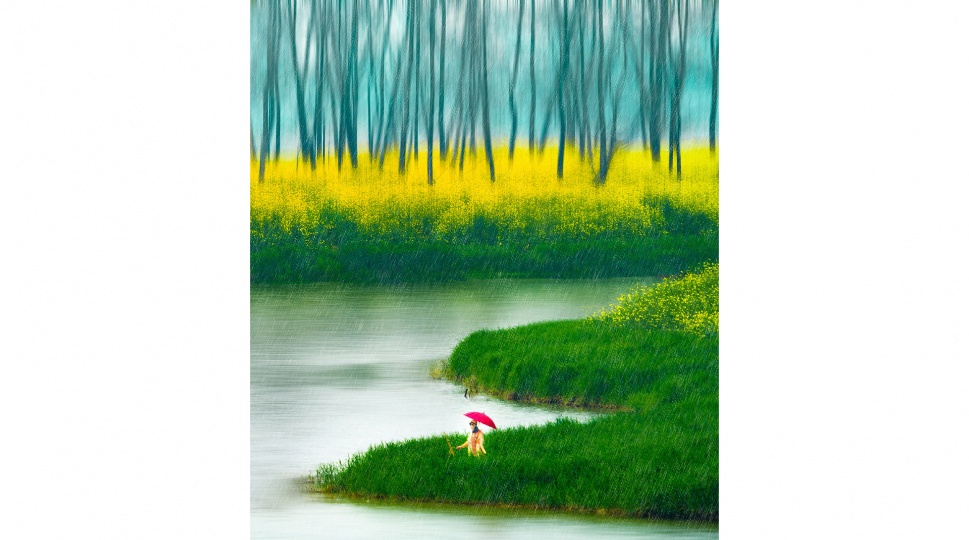 一等奖：《画春》 作者：yltc